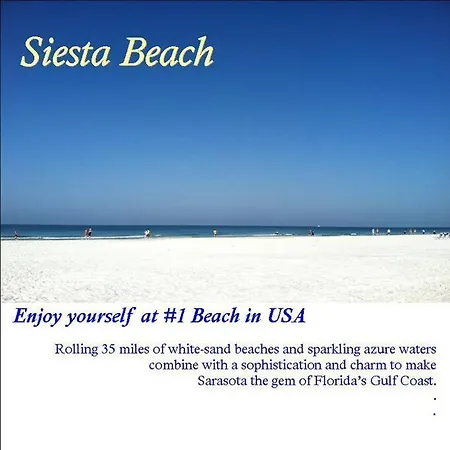 Bernice 3Bd2Bth With Heated Pool Near Siesta Key! Sarasota Exterior photo